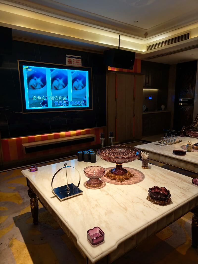 成都商务ktv与商务ktv啥意思解读-新都区ktv预定